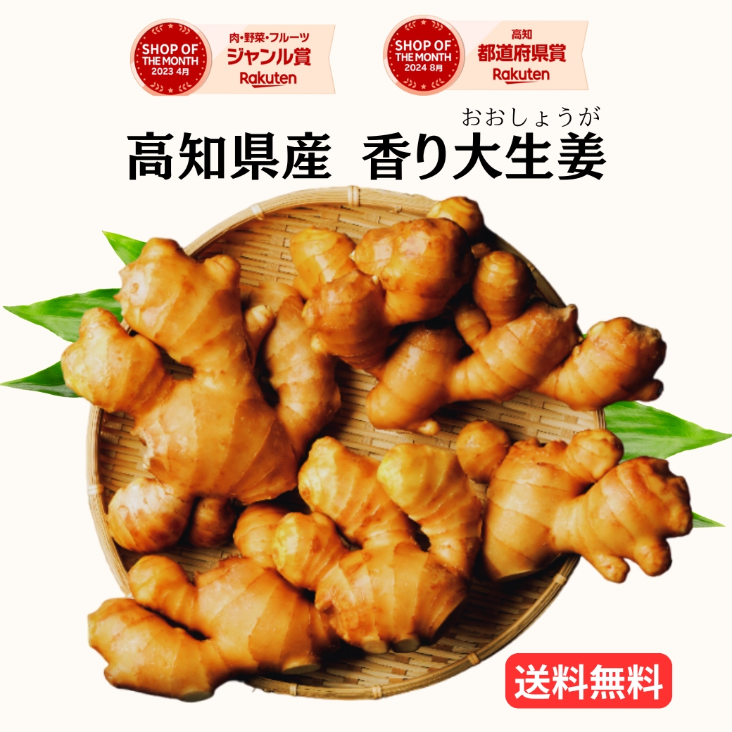 楽天市場】【送料無料】【日にち指定不可】高知産囲い生姜4Kg