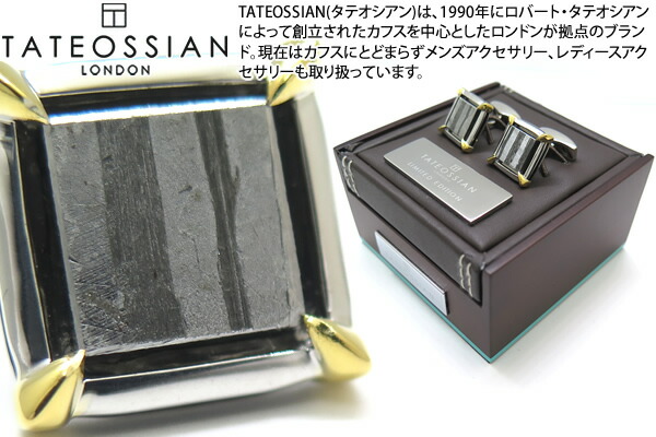 TATEOSSIAN タテオシアン SILVER SEYMCHAN PALLASITE METEORITE 2 MICRON YELLOW GOLD CLAWS CUFFLINKS セイムチャンパラサイトいん石クロウズシルバーカフス（2ミクロンゴールドメッキ）領域押さえる20書き割り 【ブランド名】