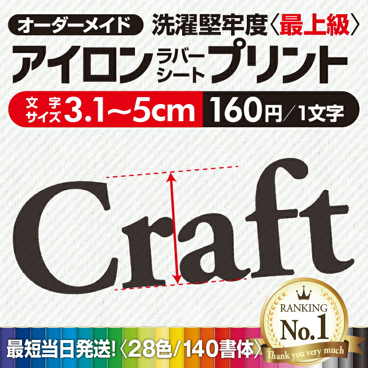 Amazon | 洗濯につよいアイロンプリントシール（黒・白共用） A3