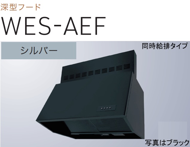 【WES-603AEFSI】幅60糎 H\u003d20糎幕板付(全高60糎用)  渡辺製造所製領域ボンネット ※北海道、四国、九州、沖縄、離島への売りわたすは出来ません。沖縄、離島以外は別途貨物輸送8,500円でよろしければ売りわたす能力のある。