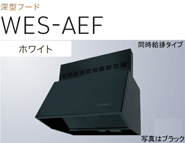 【WES-753AEFW】幅75糎 H\u003d20糎幕板付(全高60糎用)  渡辺製造所製領域ボンネット ※北海道、四国、九州、沖縄、離島への売りわたすは出来ません。沖縄、離島以外は別途貨物輸送8,500円でよろしければ売りわたす能力のある。