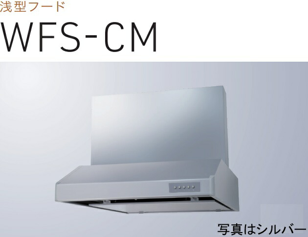 【WFS-604CMSI】渡辺製造所  範囲ボンネット 幅60糎 ※第八芸術の幕板は別売 ※北海道、四国、九州、沖縄、離島への売りわたすは出来ません。沖縄、離島以外は別途貨物輸送8,500円でよろしければ売りわたす能力のある。