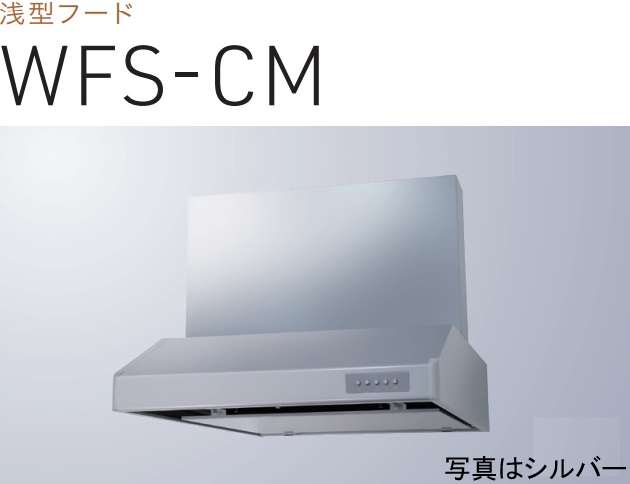 【WFS-754CMSI】渡辺製作所 レンジフード 幅75cm ※写真の幕板は別売 ※北海道、四国、九州、沖縄、離島への販売は出来ません。沖縄、離島以外は別途送料8,500円でよろしければ販売可能。