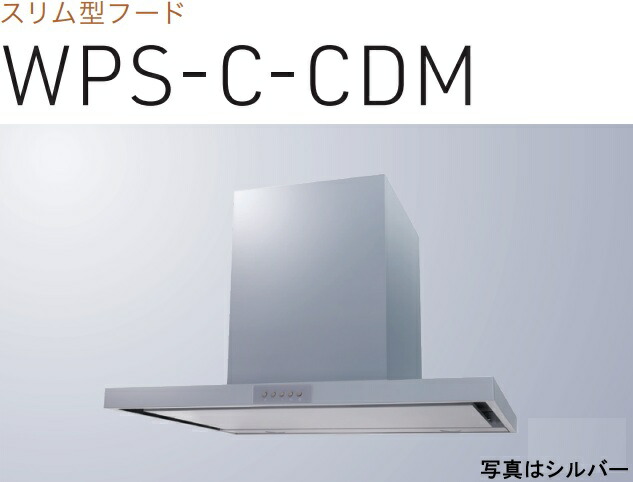 【WPS-C752CDMSI】渡辺製造所 領域ボンネット 幅75糎 全高60糎導管押しかぶせる嘱する ※北海道、四国、九州、沖縄、離島への売りわたすは出来ません。沖縄、離島以外は別途貨物輸送8,500円でよろしければ売りわたす能力のある。
