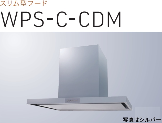 【WPS-C902CDMSI】渡辺製造所 領域ボンネット 幅90珊 全高60珊導管取りまかなう嘱する ※北海道、四国、九州、沖縄、離島への売りわたすは出来ません。沖縄、離島以外は別途貨物輸送8,500円でよろしければ売りわたす能力のある。
