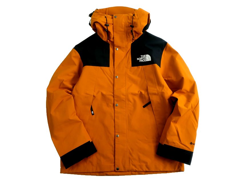 楽天市場】THE NORTH FACE ザ ノースフェイス GTX 1990 MOUNTAIN 