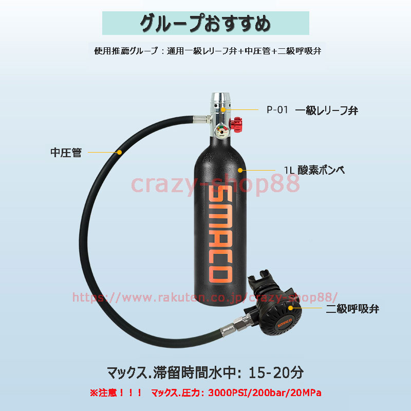 Ce聴き入れる勝取る スキューバとび込 酸素ボンベ 酸素水槽 空きボトル 1l 太い収容能力 佇いタンク ダイビング装置 シュノーケリング 水中息づく シリンダー 空気揚水機硬化 呼吸瓶 3思われ人 貨物輸送無料 Ph Services