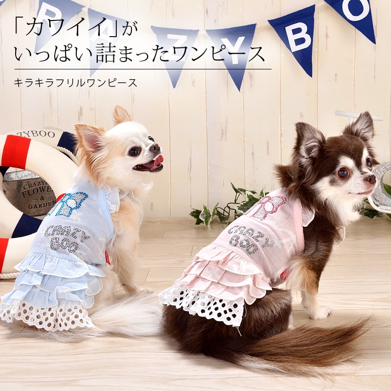 CRAZY BOO クレイジーブー 犬服 XLサイズ - 犬用品