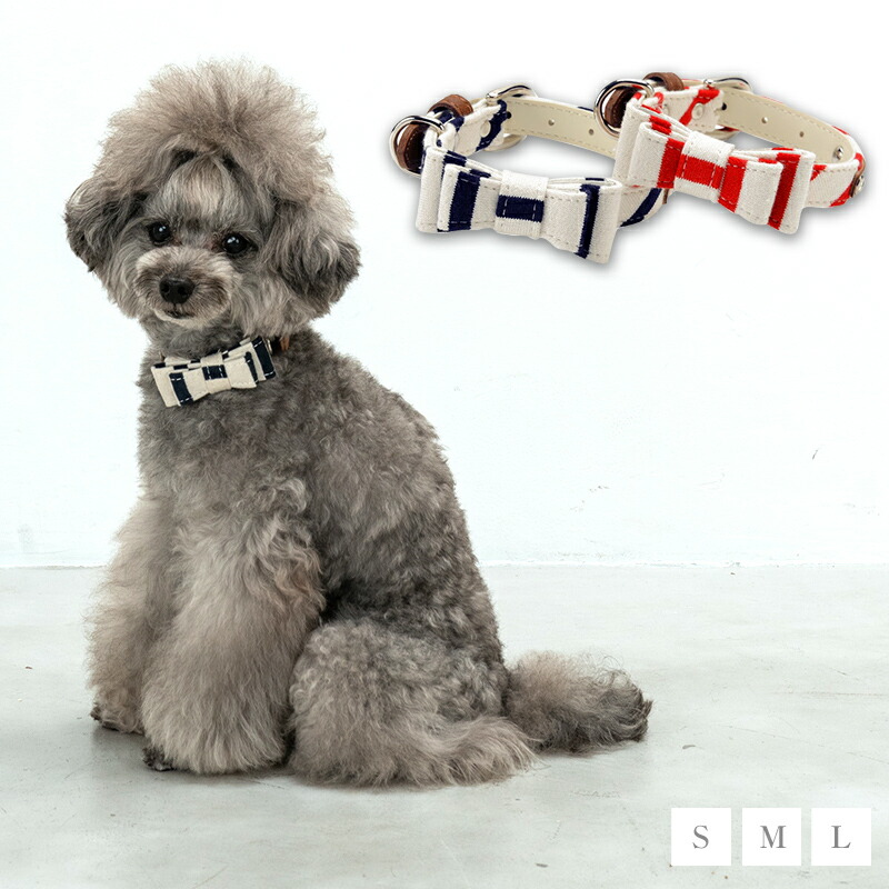 楽天市場】CRAZYBOO / クレイジーブーベルト通し カラーS/M/Lサイズ犬