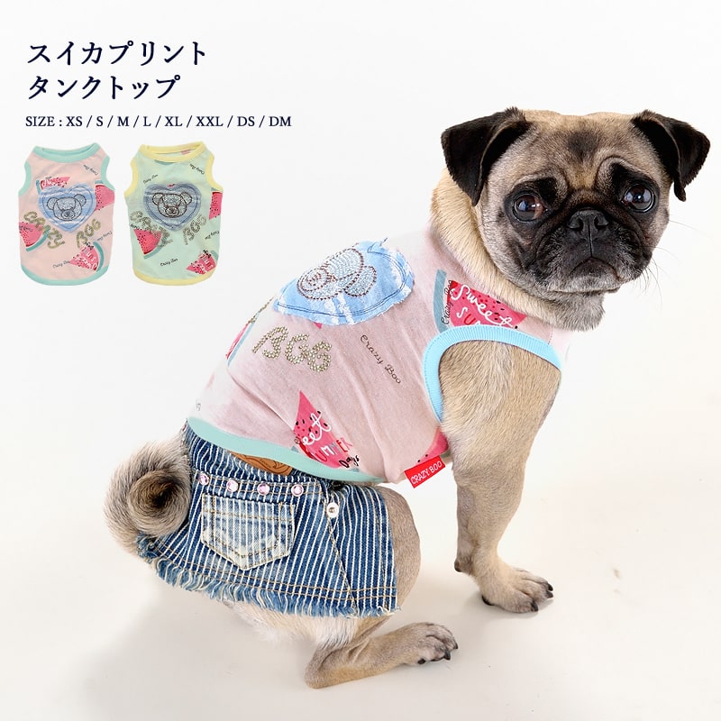 2021年製 犬服 S わんこの普段着 くまの散歩 sushitai.com.mx