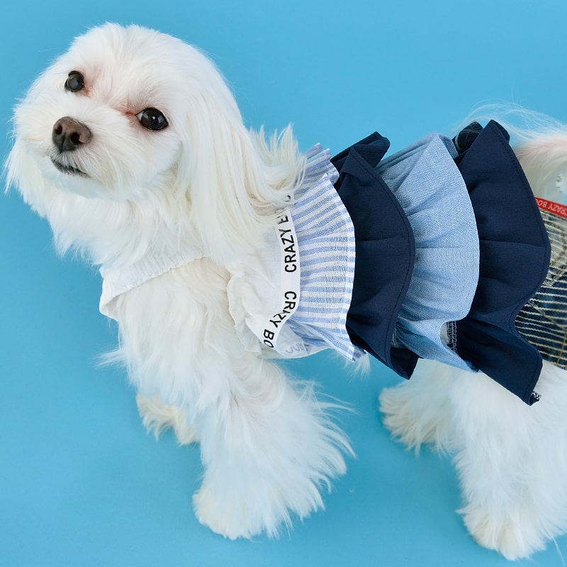 CRAZYBOO クレイジーブーティアードキャミ ワンピースXS 犬の服 シーズー チワワ プードル犬服 M マルチーズ Lサイズレッド ヨーキー  ネイビー小型犬 S ドッグウェア春夏コレクション ドッグウェア