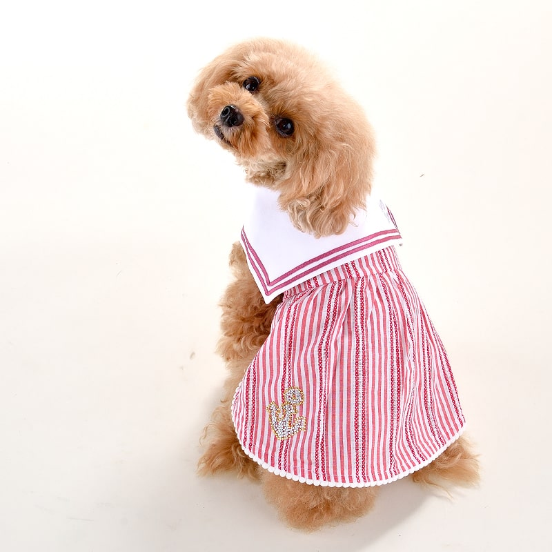 楽天市場 Crazyboo クレイジーブーストライプセーラー ワンピースxlサイズレッド グレーシーズー トイプードル ミニチュアシュナウザー ミニチュア ダックスフント春夏コレクション犬服 犬の服 ドッグウェア Crazyboo