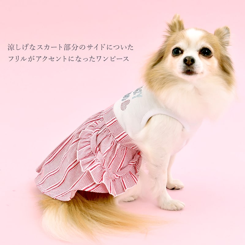 楽天市場 Crazyboo クレイジーブーストライプ脇フリル ワンピースs M Lサイズレッド グレー小型犬 チワワ ヨーキー シーズー マルチーズ プードル犬服 犬の服 ドッグウェア春夏コレクション Crazyboo