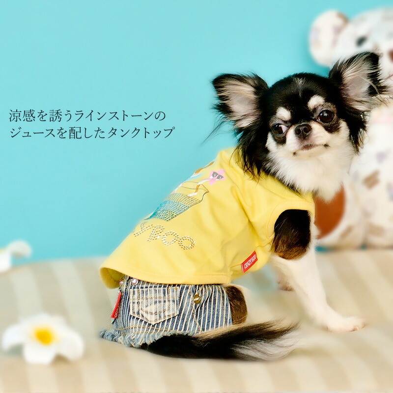 犬服 クレイジーブー crazy booドレス ウエディング 【公式通販】