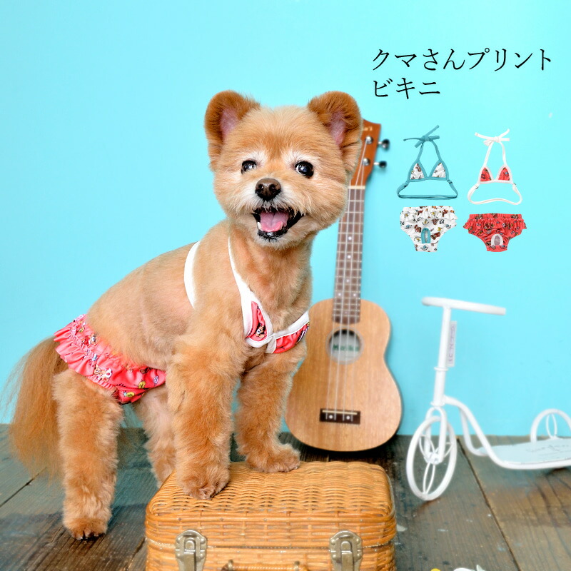楽天市場 Crazyboo クレイジーブーアイスクリーム ワンピースxs S M Lサイズオフホワイト ピンク小型犬 チワワ ヨーキー シーズー マルチーズ プードル犬服 犬の服 ドッグウェア春夏コレクション Crazyboo