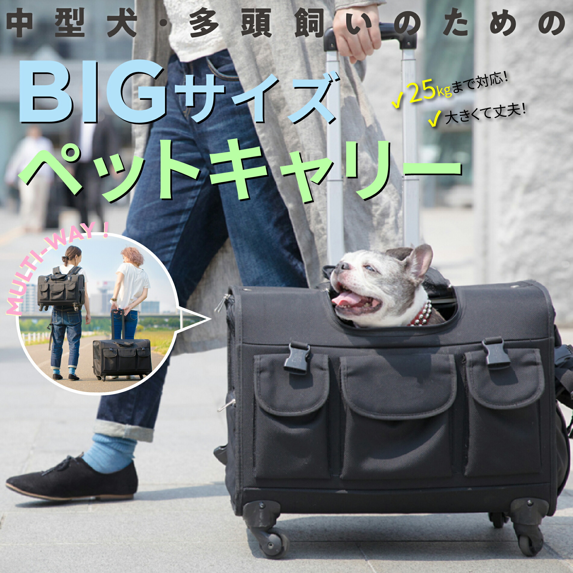 【こはく】Lサイズリュック / ペットキャリーケース / キャリーバック 楽天市場】Cellteiキャリーリュック XLサイズ【ペット用