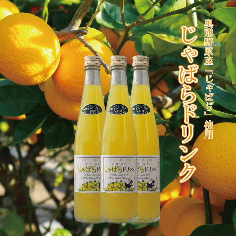 じゃばら 果汁 花粉対策 じゃばら ジャバラ ジュース 和歌山県産 北山村 希少な香酸柑橘じゃばら使用 じゃばらドリンク 500ml×12本セット 3~5倍希釈用 花粉症シーズンにナルニチン 鼻水 くしゃみ 鼻のかゆみ 目のかゆみ 疲労回復 お礼 お返し 人気 夏ギフト お中元|lelaku delicious