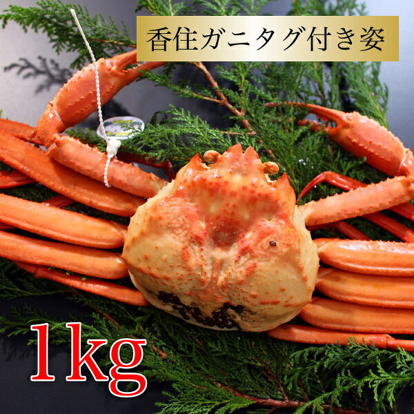 カニ 紅ズワイガニ タグ付き 香住ガニ 約1kg×1杯 兵庫県香住産 紅ずわいがに ベニズワイガニ 姿 送料無料 産地直送 国産 海鮮グルメ 絶品 お祝い お礼 内祝い お返し 贈り物 お取り寄せグルメ 人気 食べ物 希少 特大サイズ 厳選 姿 カニ 通販 春ギフト 食品 母の日 ギフト