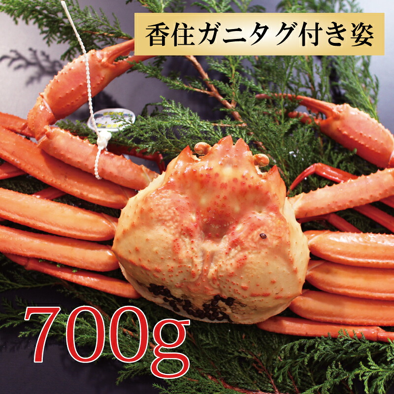 カニ 紅ズワイガニ タグ付き 香住ガニ 約700g×1杯 兵庫県香住産 ベニズワイガニ 姿 送料無料 産地直送 国産 おいしい 特大サイズ カニボイル 海鮮グルメ ギフト お取り寄せ グルメ 厳選 姿 人気 お祝い お礼 内祝い お返し 贈り物 カニ 通販 春ギフト 食品 母の日 ギフト