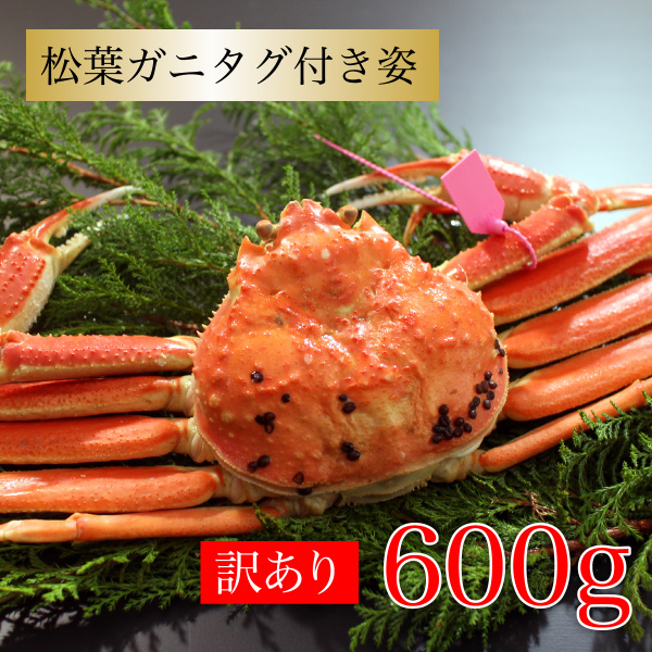 楽天市場】カニ 紅ズワイガニ 香住ガニ むき身 1kg (500g×2P) 兵庫県香住産 紅ズワイガニ ベニズワイガニ 送料無料 産地直送 国産 香住産  お歳暮 海鮮グルメ プレゼント2022 ギフト 贈答 厳選 絶品 お祝い 贈り物 お取り寄せ 人気 食べ物 : lelaku delicious