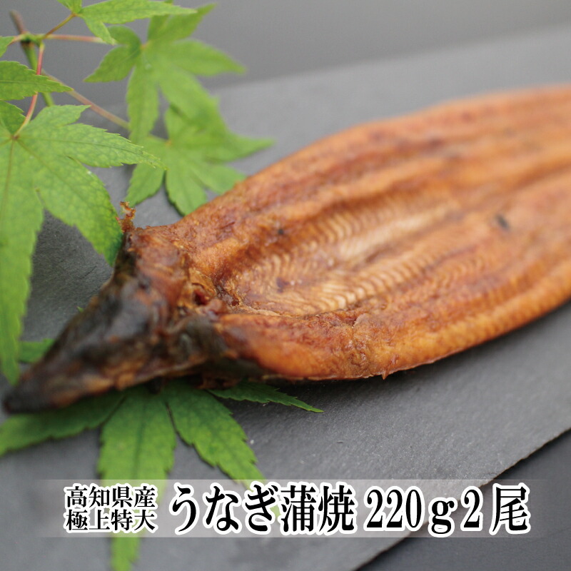 うなぎ 国産 蒲焼き 高知県産 極上特大うなぎ蒲焼220ｇ×2尾 鰻 蒲焼 土用丑の日 贈り物 プレゼント お取り寄せ 海鮮 グルメ 海鮮グルメ 内祝い お返し お祝い お礼 出産 結婚 新築 引越し ギフト 海鮮 通販 冷凍 春ギフト 母の日 ギフト