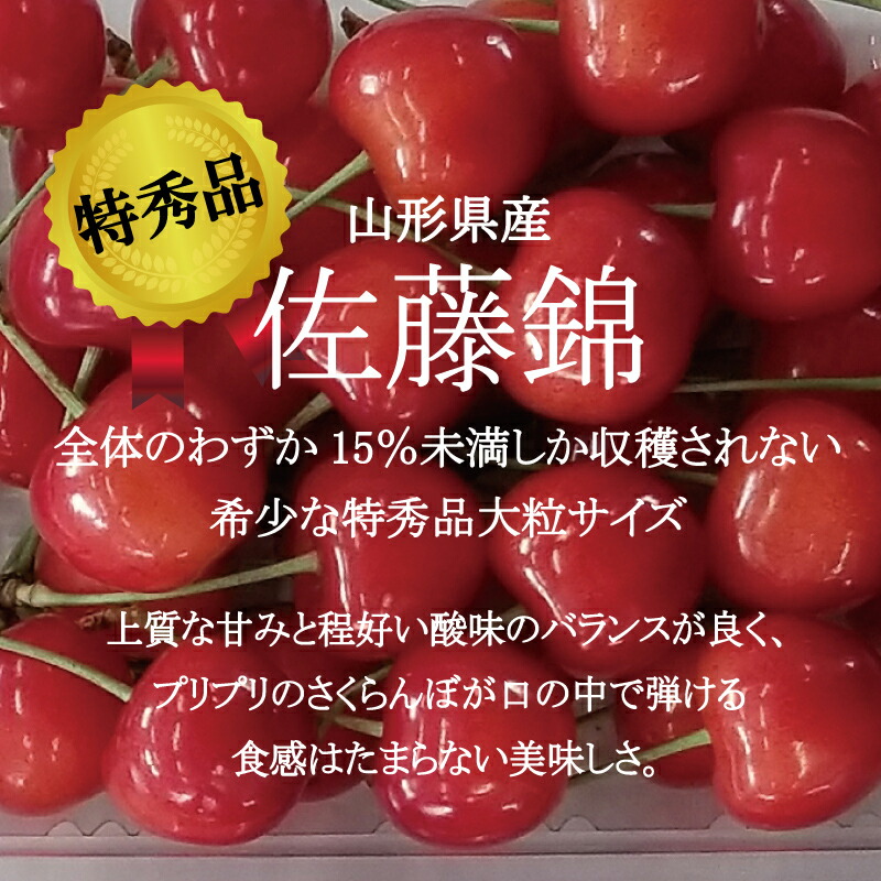 送料無料 さくらんぼ 佐藤錦 特秀品 L 2lサイズ 混合 600ｇ 山形県産 送料無料 サクランボ 佐藤錦 贈答品 プレゼント お中元 高級 お取り寄せ 予約販売 半額品 Lexusoman Com