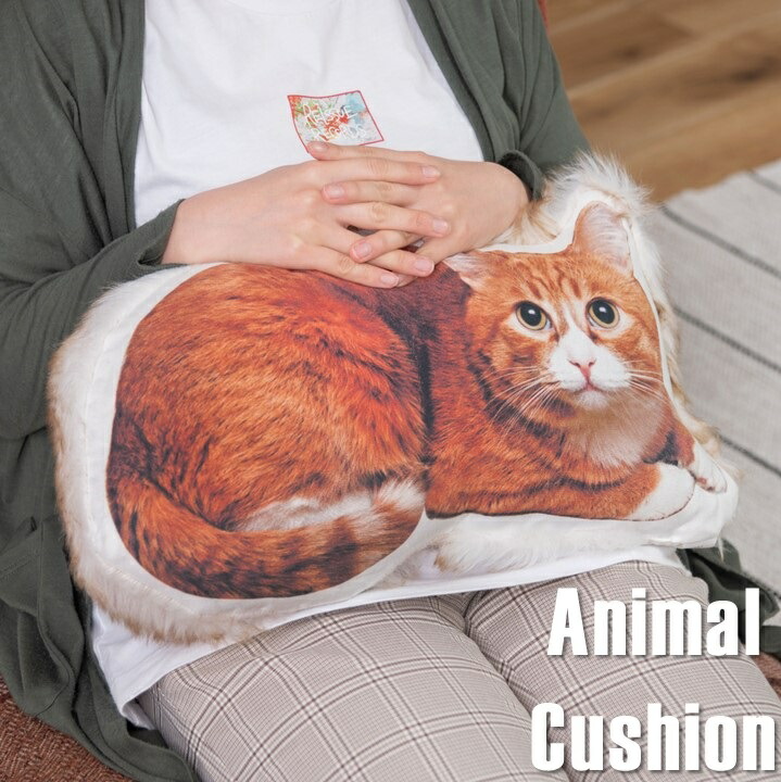 猫用クッション型おもちゃ（青・紫） 楽天市場】【クーポン有】Catit Vesper トンネル 猫用