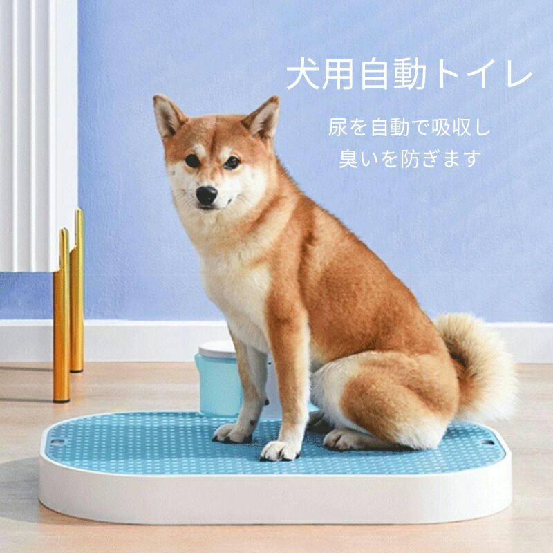 楽天市場】DOG 自動水洗トイレトレー ハッピールー(ウォール