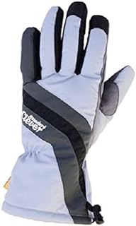 【在庫処分】クレバースタンダード CLEVER バイク用レディースグローブ 防寒防水 ウインターナイロングローブ シルバー　Ｌサイズ CLG-432