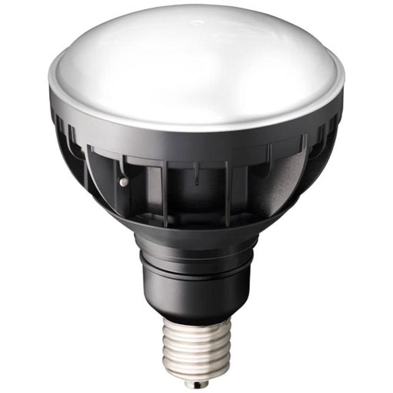 岩崎LEDライトバルブ LDR30N-H-E39/B850