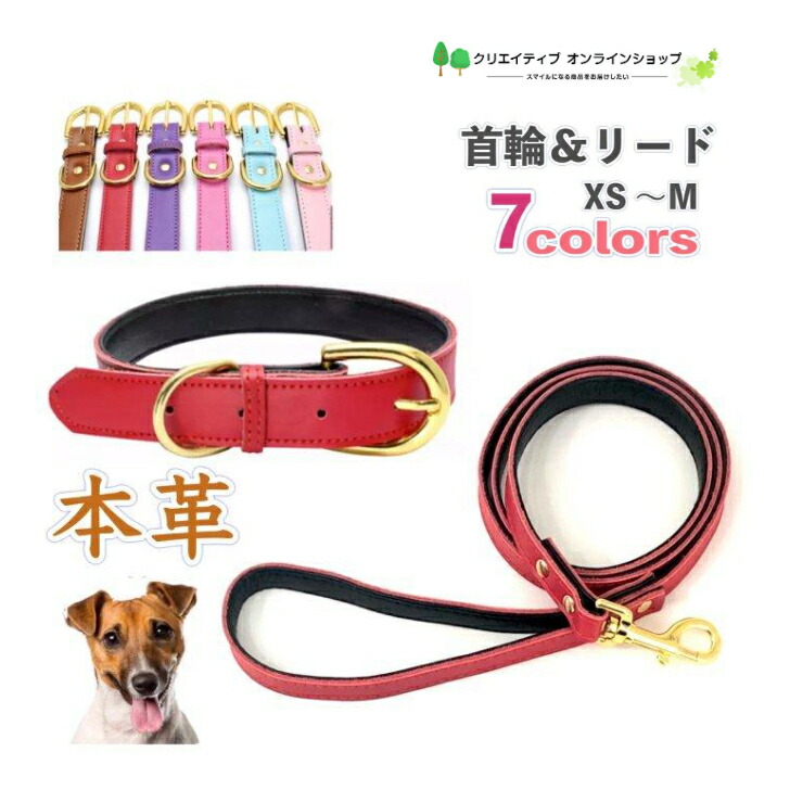 楽天市場】犬 首輪 犬首輪 小型犬 中型犬 おしゃれ かわいい シンプル