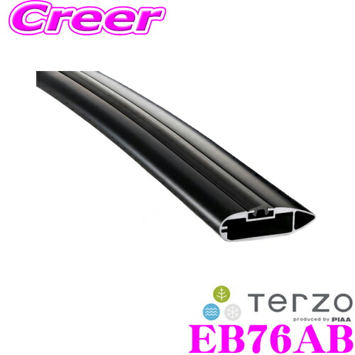 楽天市場】【先着限定☆最大2000円OFFクーポン！】TERZO エアロ