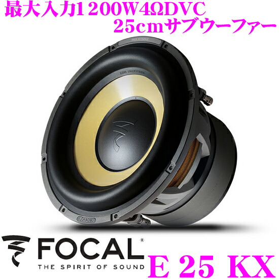 FOCAL solid 4 アンプ　美品 51wMSrEUPOL._UF350,350_QL50_.jpg