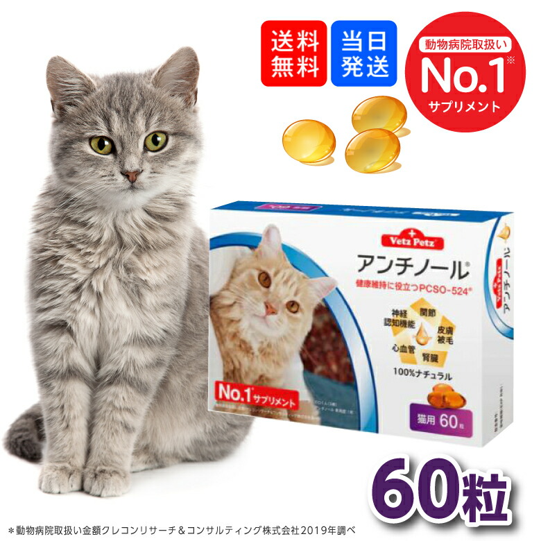 楽天市場】【複数購入 割引クーポン配布中】アンチノール 猫用