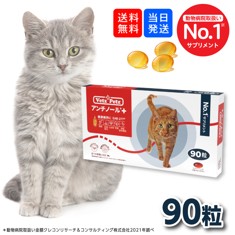 通常在庫品 アンチノール プラス 猫用 90粒×3箱セット - crumiller.com