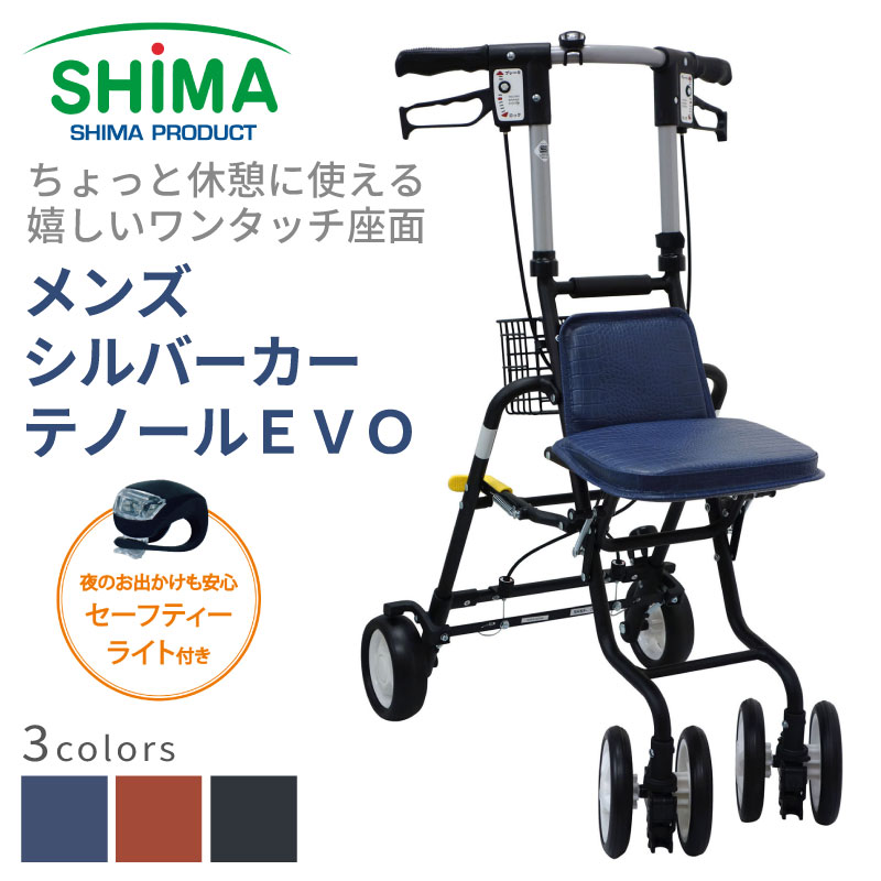 【製造業者1年引き受ける】しろがね色鉄道車両 テナーEVO 島製造所