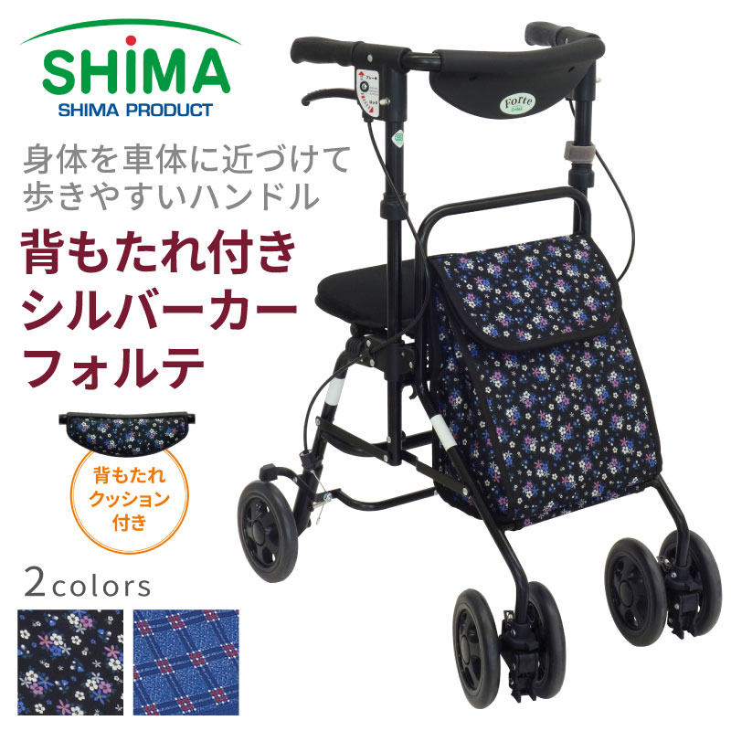 【製造業者1年引き受ける】しろがね色鉄道車両 フォルテ 島製造所