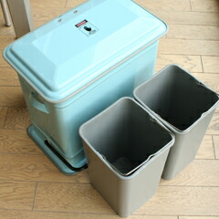 美品　ダルトン　DULTON ゴミ箱 STEP CAN  DUAL BUCKET DULTON Step can 