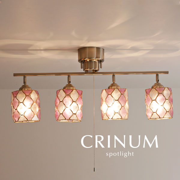 楽天市場 スポットライト カピス貝 Crinum パープル 4灯 紫色 照明 Led電球 天然素材 シェル ダイニング リビング 多灯 プルスイッチ デザイン照明のcroix