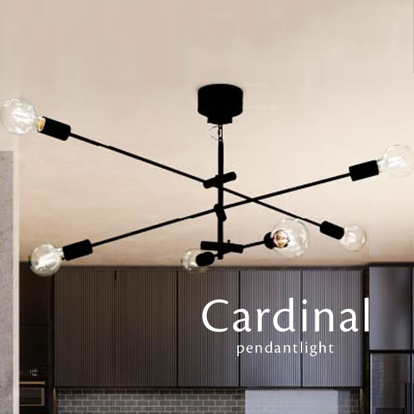 楽天市場】シーリングライト 【 Astre 】 6灯 LED電球 ブラック