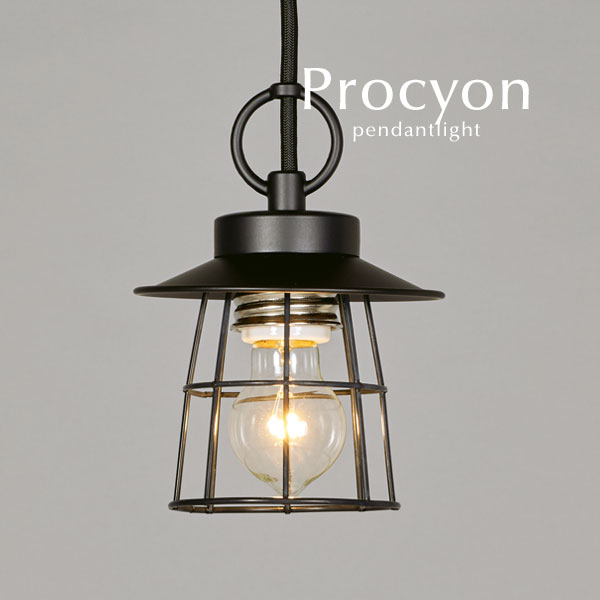 差し固める付き添い人 黒いこと シャンデリヤともし火 LED白熱電球 【 Procyon 】 軽銀 網 アイアン レトロ 後藤照明装置 購入注文 日本製