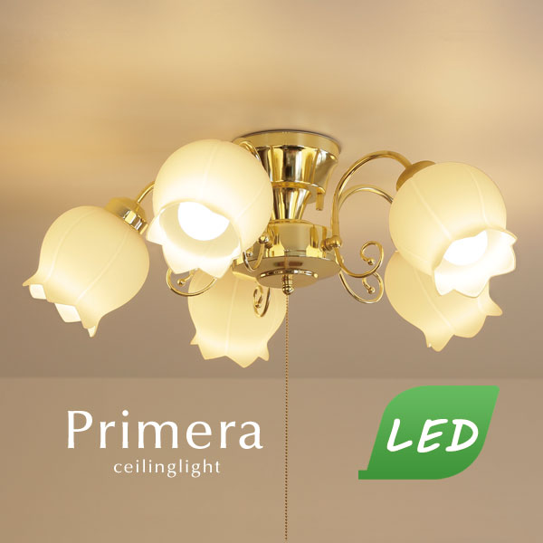 Led 付き シーリングライト 5灯 Primera ゴールド ガラス かわいい 高級 リビング おしゃれ 素敵 花びら 直付け 照明 クラシック Ice Org Br