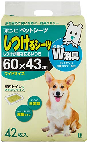 ボンビアルコン Bonbi しつける敷布 W消臭 博い 42枚原初 Upntabasco Edu Mx