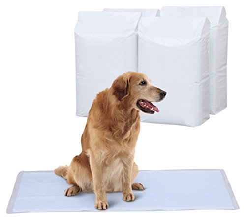 アイリスオーヤマ 愛玩動物敷き布 薄型 1回使い捨て 抗菌 消臭 中型犬・大型犬 ダブル広広とした 200枚入 (容れもの売りわたす)