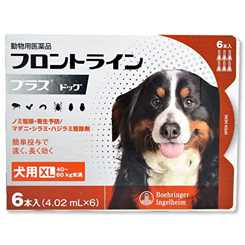 【毛の荒物用飲み薬】向こう正面伝達ルート つけ加える 飼い犬 犬用 XL(40kg~60kg未満) 4.02mL×6本入
