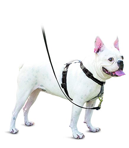 PetSafe 3 in 1 ハーネス ブラック Sサイズ
