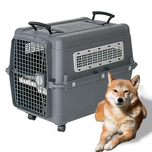 プチリュバン 【 IATA 基準クリア】ペットキャリーバッグ PR80 XL 外寸：幅57.5&times;高58.5&times;奥行80cm 大型犬用｜クロスワン　店