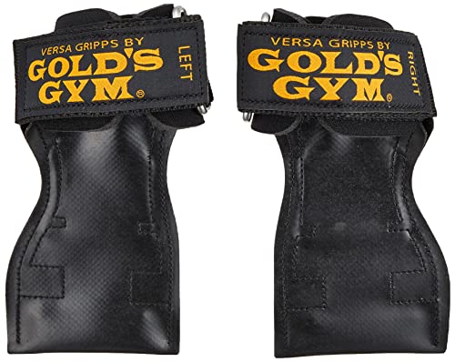 楽天市場】ゴールドジム(GOLD'S GYM) 25年以上の販売実績 パワー