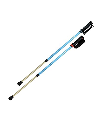シナノ(SINANO) あんしん2本杖/青色 介護用品-医薬品・コンタクト・介護