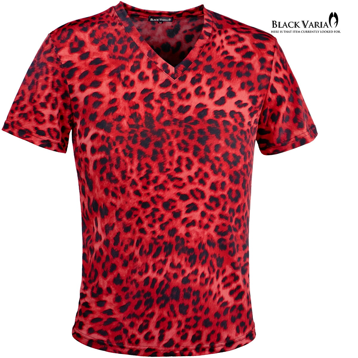 bvb-233153-re.jpg